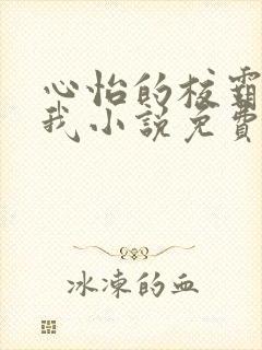 心怡的校霸挑衅我小说免费阅读