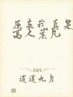 原来我真是世外高人叶凡