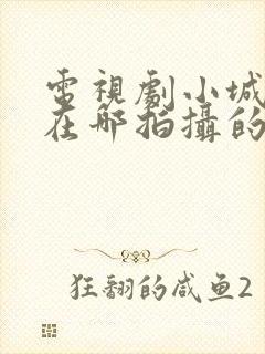 电视剧小城大事在哪拍摄的封面