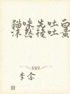 猫咪先吐白色泡沫然后吐黄水封面