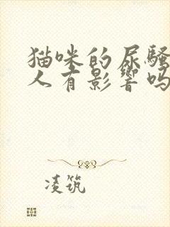 猫咪的尿骚味对人有影响吗