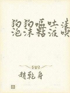 狗狗呕吐淡黄水泡沫粘液吃什么药