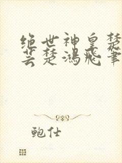 绝世神皇楚风楚芸楚鸿飞笔趣阁封面