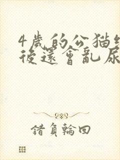 4岁的公猫绝育后还会乱尿吗?