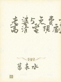 老婆5免费完整高清电视剧在线观看