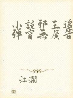 小说邪王追妻无弹窗无广告