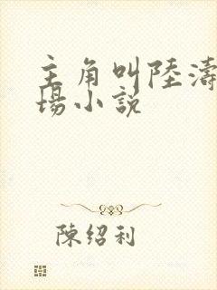 主角叫陆涛的官场小说