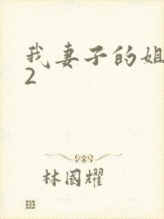 我妻子的姐姐 2