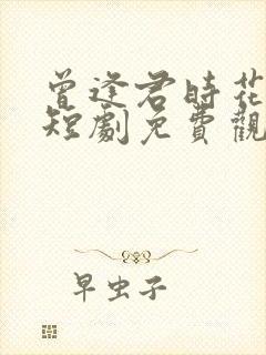 曾逢君时花照眼短剧免费观看