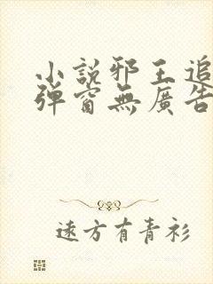 小说邪王追妻无弹窗无广告