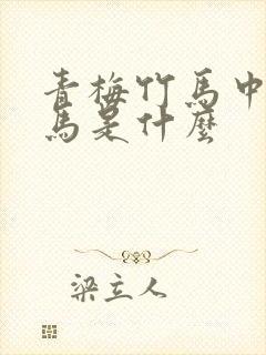 青梅竹马中的竹马是什么