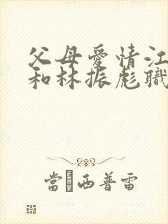 父母爱情江德福和林振彪职位封面