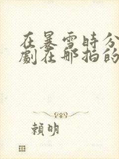 在暴雪时分电视剧在那拍的