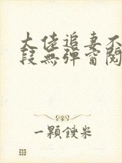 大佬追妻不择手段无弹窗阅读封面