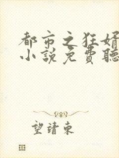 都市之狂婿战神小说免费听书