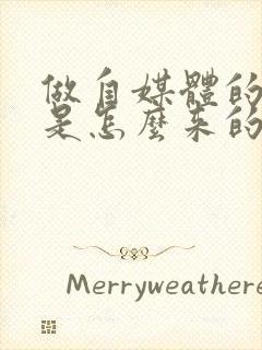 做自媒体的收入是怎么来的