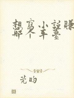 想写小说赚钱去哪个平台