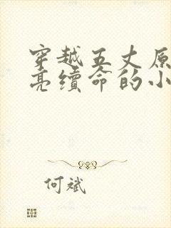 穿越五丈原诸葛亮续命的小说封面