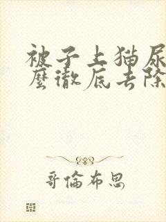 被子上猫尿味怎么彻底去除