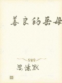 善良的岳母中字封面