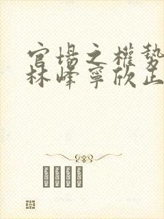 官场之权势滔天林峰宁欣正版