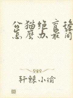 公猫绝育后乱尿怎么办最简单方法