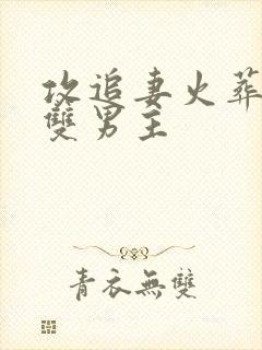 攻追妻火葬场的双男主