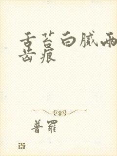 舌苔白腻两边有齿痕封面