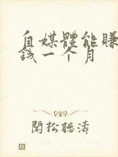 自媒体能赚多少钱一个月