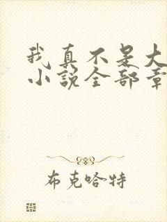 我真不是大魔王小说全部章节