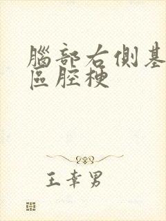 脑部右侧基底节区腔梗