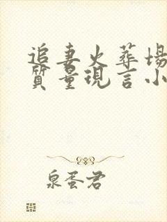 追妻火葬场的高质量现言小说封面