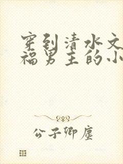 穿到清水文里造福男主的小说