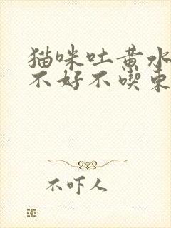 猫咪吐黄水精神不好不吃东西