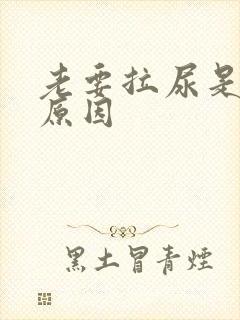 老要拉尿是什么原因