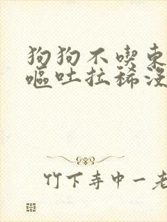 狗狗不吃东西还呕吐拉稀没精神怎么办