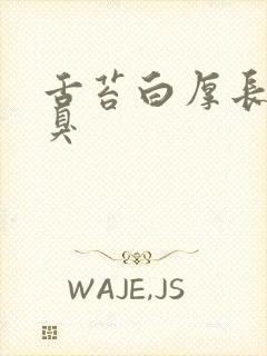 舌苔白厚长期口臭