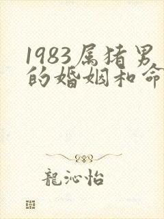 1983属猪男的婚姻和命运如何封面