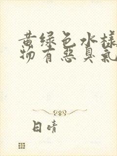 黄绿色水样分泌物有恶臭气味封面