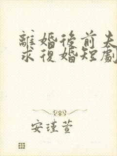 离婚后前夫哭着求复婚短剧演员表