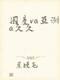 国产va亚洲va久久