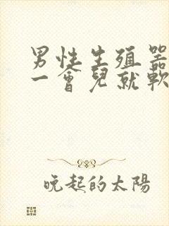 男性生殖器勃起一会儿就软了是怎么回事?