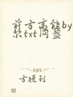 前方高能by莞尔txt网盘封面