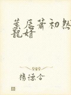 叶辰萧初然上门龙婿