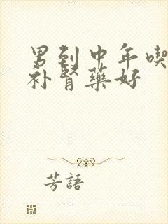 男到中年吃什么补肾药好