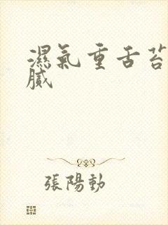 湿气重舌苔白厚腻