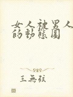 女人被男人日b的动态图