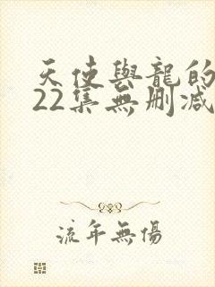 天使与龙的轮舞22集无删减封面