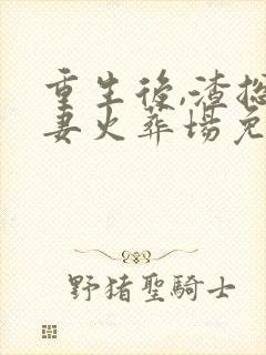 重生后,渣总追妻火葬场免费阅读