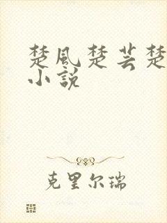 楚风楚芸楚鸿飞小说